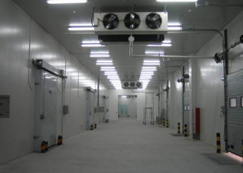 大型冷庫(kù)建造