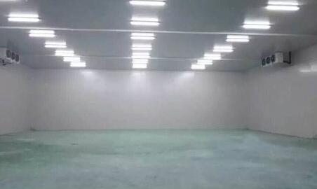 水果冷庫工程