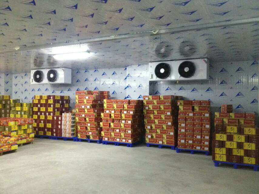 冷庫設(shè)計方案
