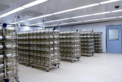 簽約廣東威科質(zhì)量檢測(cè)公司實(shí)驗(yàn)室工程項(xiàng)目
